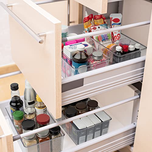 10" x 6" x 3" Clear Plastic Storage Bins with Dividers