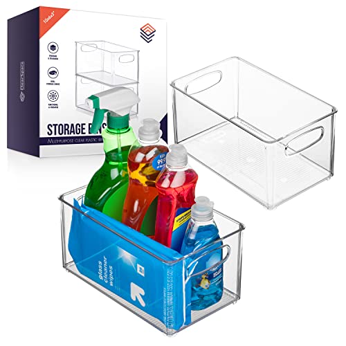 10" x 6" x 5" Clear Plastic Storage Bins