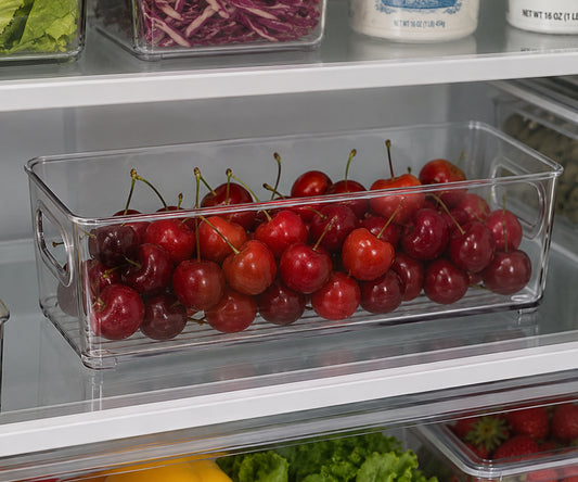10" x 4" x 3" Clear Plastic Storage Bins