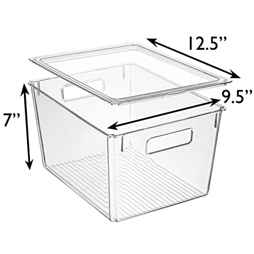 12.5" x 9.5" x 7" Clear Plastic Storage Bins with Lids