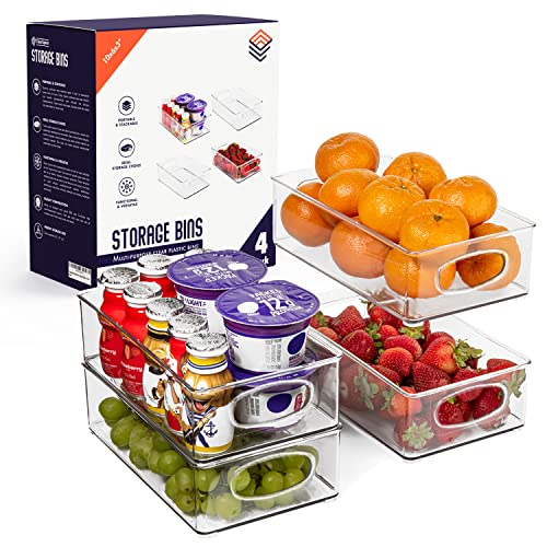 10" x 6" x 3" Clear Plastic Storage Bins