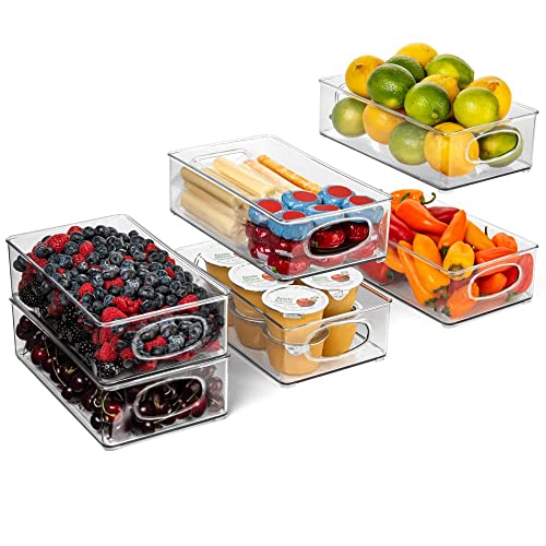 10" x 6" x 3" Clear Plastic Storage Bins
