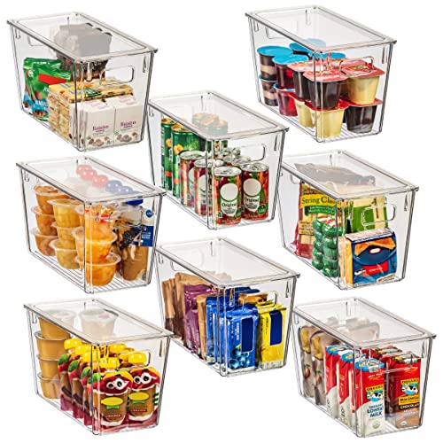 12.5 x 7 x 6 Clear Plastic Storage Bins with Lids