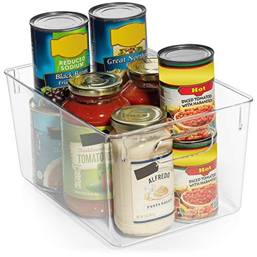 11" x 8" x 6" Clear Plastic Storage Bins