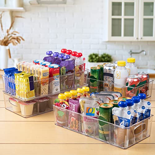 15" x 7.3" x 3.5" Clear Plastic Storage Bins with Dividers